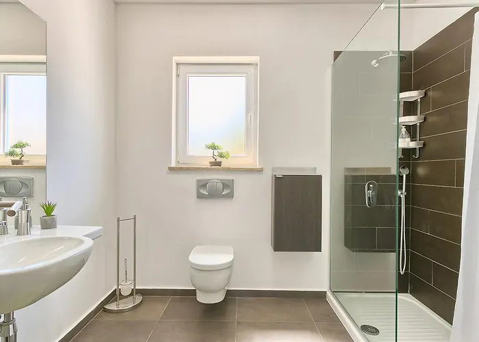 Vila Zminj 1404 Tomisici